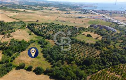 Çanakkale Lapseki Çardak İmara Sınır Boğaz Manz. 19 Adet Parsel