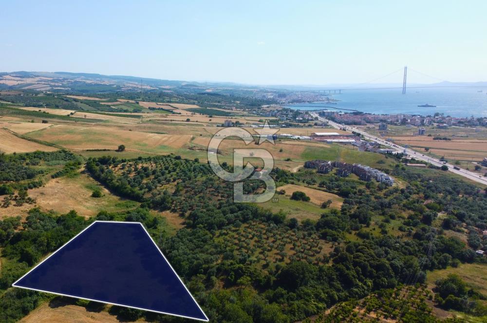 Çanakkale Lapseki Çardak İmara Sınır Boğaz Manz. 19 Adet Parsel