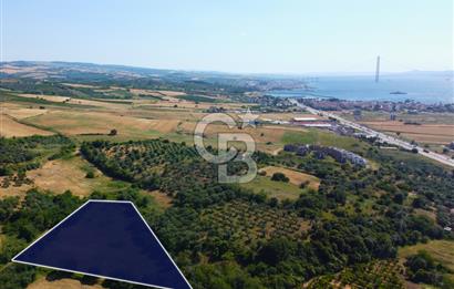 Çanakkale Lapseki Çardak İmara Sınır Boğaz Manz. 19 Adet Parsel
