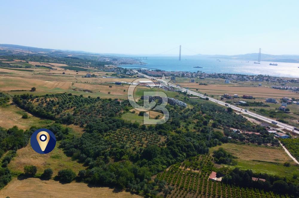 Çanakkale Lapseki Çardak İmara Sınır Boğaz Manz. 19 Adet Parsel