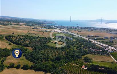Çanakkale Lapseki Çardak İmara Sınır Boğaz Manz. 19 Adet Parsel