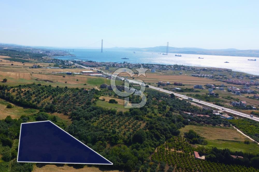 Çanakkale Lapseki Çardak İmara Sınır Boğaz Manz. 19 Adet Parsel