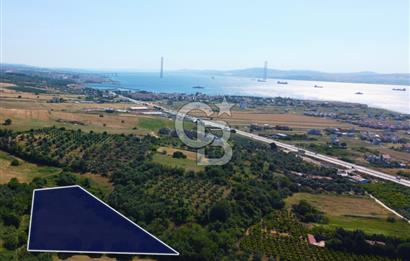 Çanakkale Lapseki Çardak İmara Sınır Boğaz Manz. 19 Adet Parsel