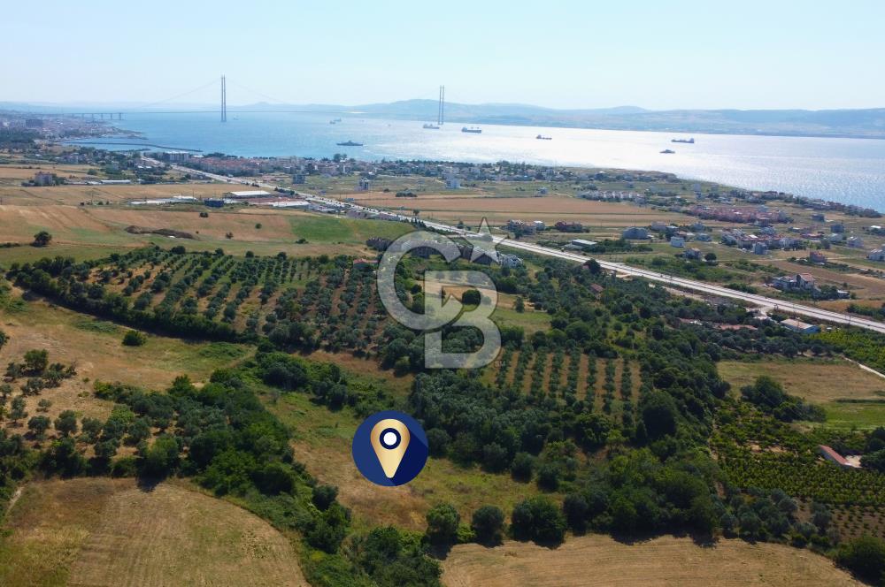Çanakkale Lapseki Çardak İmara Sınır Boğaz Manz. 19 Adet Parsel