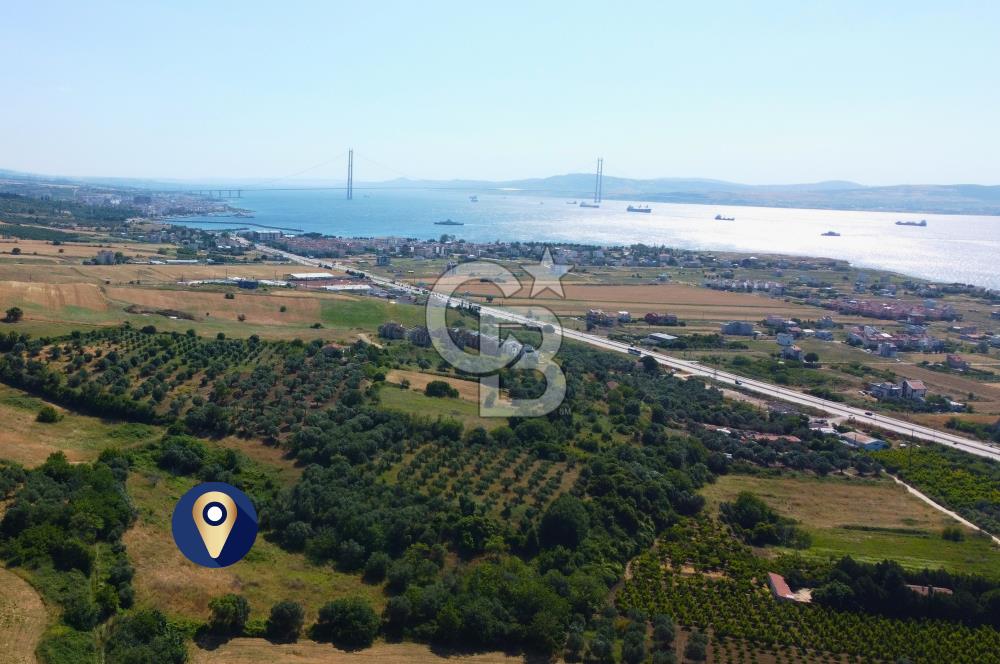 Çanakkale Lapseki Çardak İmara Sınır Boğaz Manz. 19 Adet Parsel