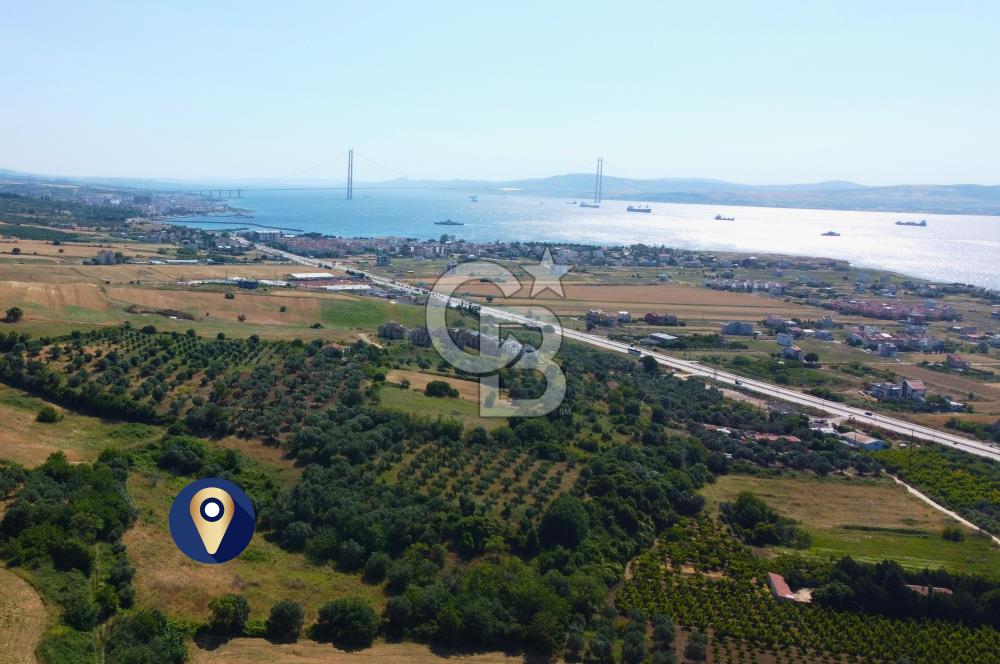 Çanakkale Lapseki Çardak İmara Sınır Boğaz Manz. 19 Adet Parsel