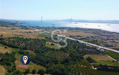 Çanakkale Lapseki Çardak İmara Sınır Boğaz Manz. 19 Adet Parsel