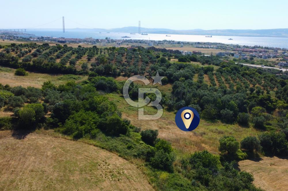 Çanakkale Lapseki Çardak İmara Sınır Boğaz Manz. 19 Adet Parsel