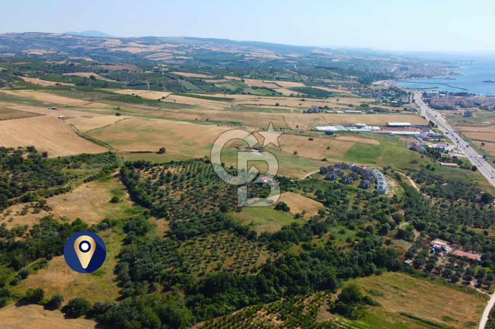 Çanakkale Lapseki Çardak İmara Sınır Boğaz Manz. 19 Adet Parsel