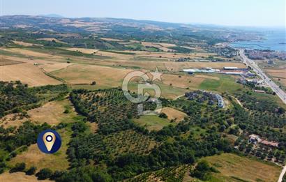 Çanakkale Lapseki Çardak İmara Sınır Boğaz Manz. 19 Adet Parsel