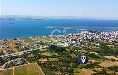 Çanakkale Lapseki Çardak İmara Sınır Boğaz Manz. 19 Adet Parsel
