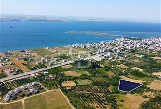 Çanakkale Lapseki Çardak İmara Sınır Boğaz Manz. 19 Adet Parsel - 2 - 355058