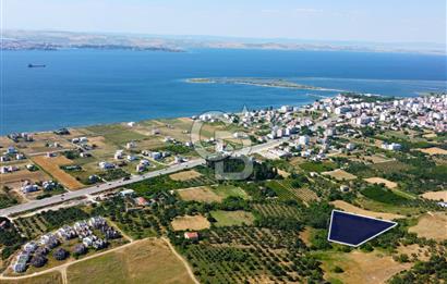 Çanakkale Lapseki Çardak İmara Sınır Boğaz Manz. 19 Adet Parsel