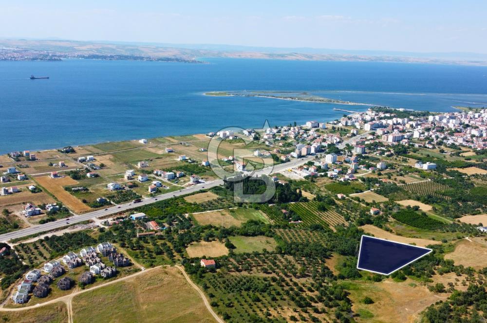Çanakkale Lapseki Çardak İmara Sınır Boğaz Manz. 19 Adet Parsel