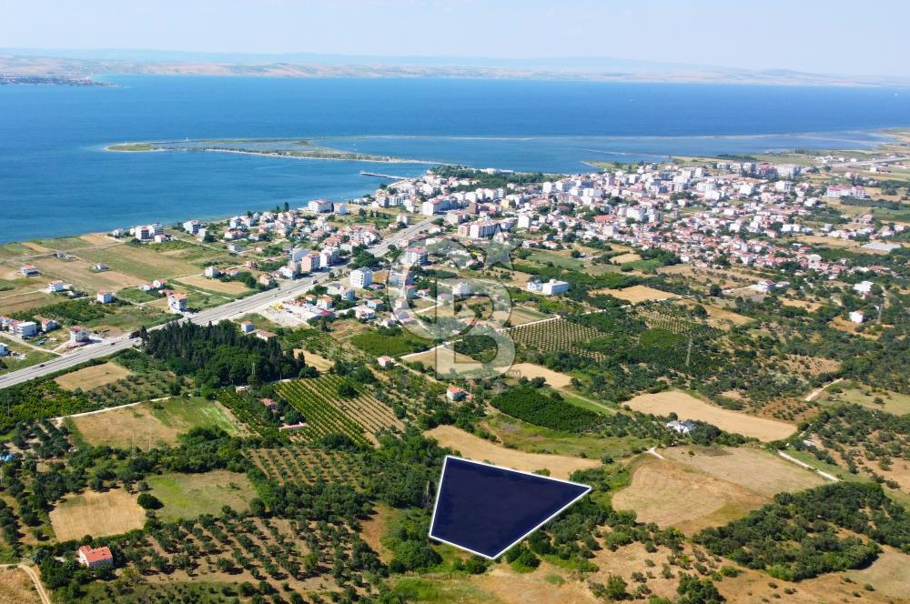Çanakkale Lapseki Çardak İmara Sınır Boğaz Manz. 19 Adet Parsel