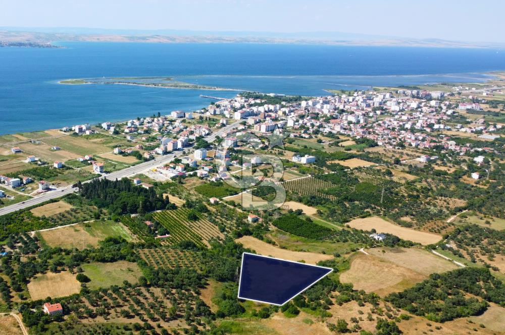 Çanakkale Lapseki Çardak İmara Sınır Boğaz Manz. 19 Adet Parsel