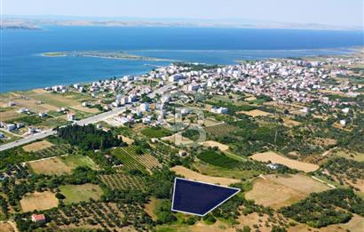 Çanakkale Lapseki Çardak İmara Sınır Boğaz Manz. 19 Adet Parsel