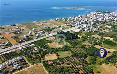Çanakkale Lapseki Çardak İmara Sınır Boğaz Manz. 19 Adet Parsel
