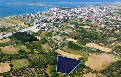 Çanakkale Lapseki Çardak İmara Sınır Boğaz Manz. 19 Adet Parsel