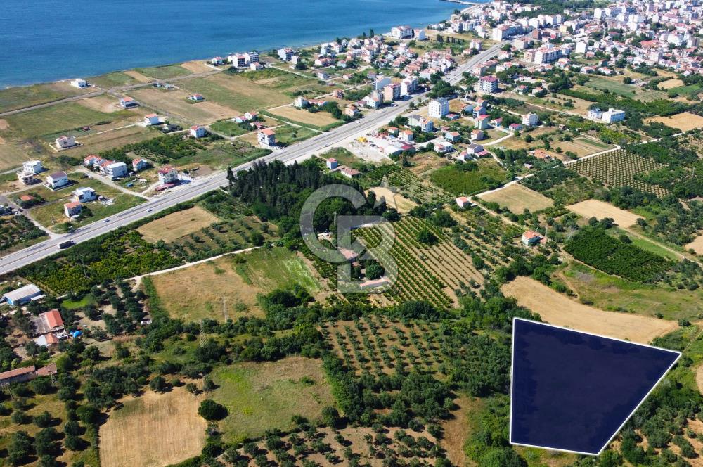 Çanakkale Lapseki Çardak İmara Sınır Boğaz Manz. 19 Adet Parsel