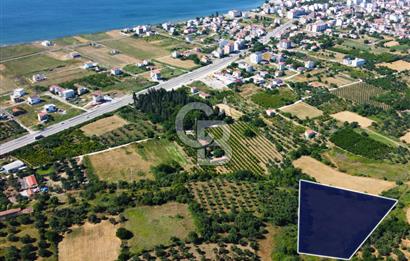 Çanakkale Lapseki Çardak İmara Sınır Boğaz Manz. 19 Adet Parsel