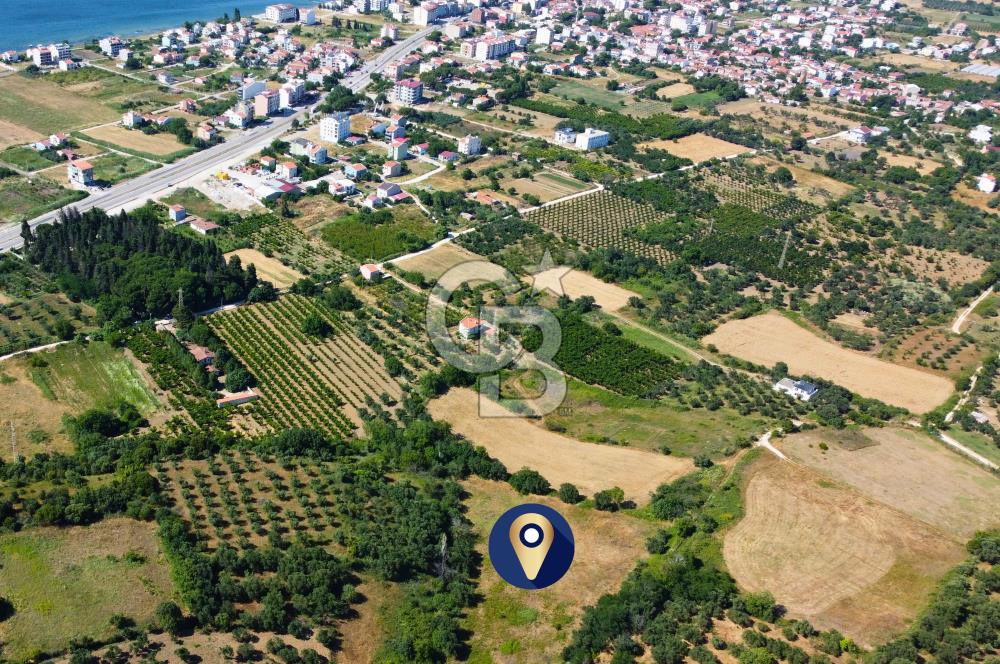 Çanakkale Lapseki Çardak İmara Sınır Boğaz Manz. 19 Adet Parsel