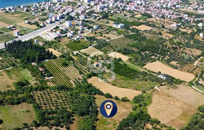 Çanakkale Lapseki Çardak İmara Sınır Boğaz Manz. 19 Adet Parsel