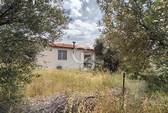 SÜLEYMANLIDA RESMİ 2+1 MÜSTAKİL VE 8 DÖNÜM SATILIK GENİŞ ARAZİ - 1 - 355040