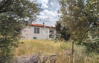 SÜLEYMANLIDA RESMİ 2+1 MÜSTAKİL VE 8 DÖNÜM SATILIK GENİŞ ARAZİ