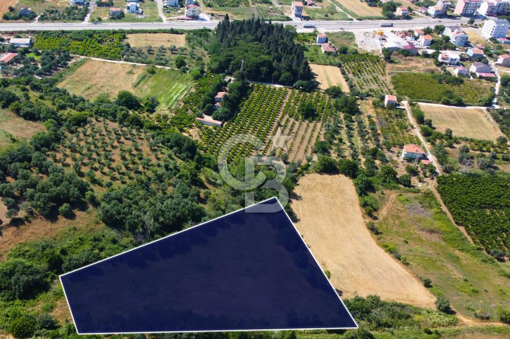 Çanakkale Lapseki Çardak İmara Sınır Boğaz Manz. 19 Adet Parsel