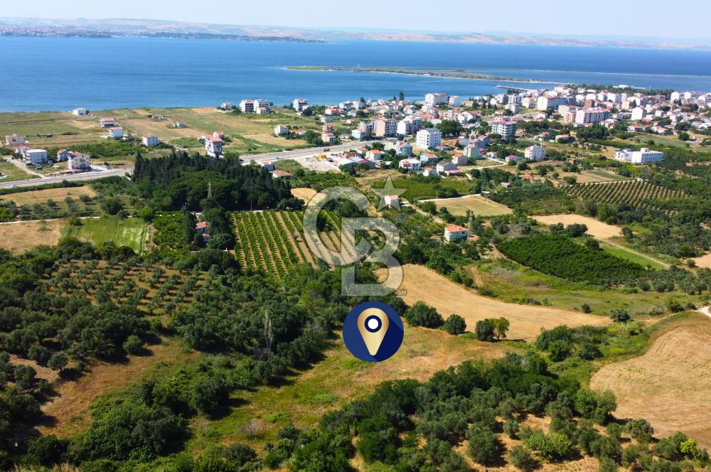 Çanakkale Lapseki Çardak İmara Sınır Boğaz Manz. 19 Adet Parsel