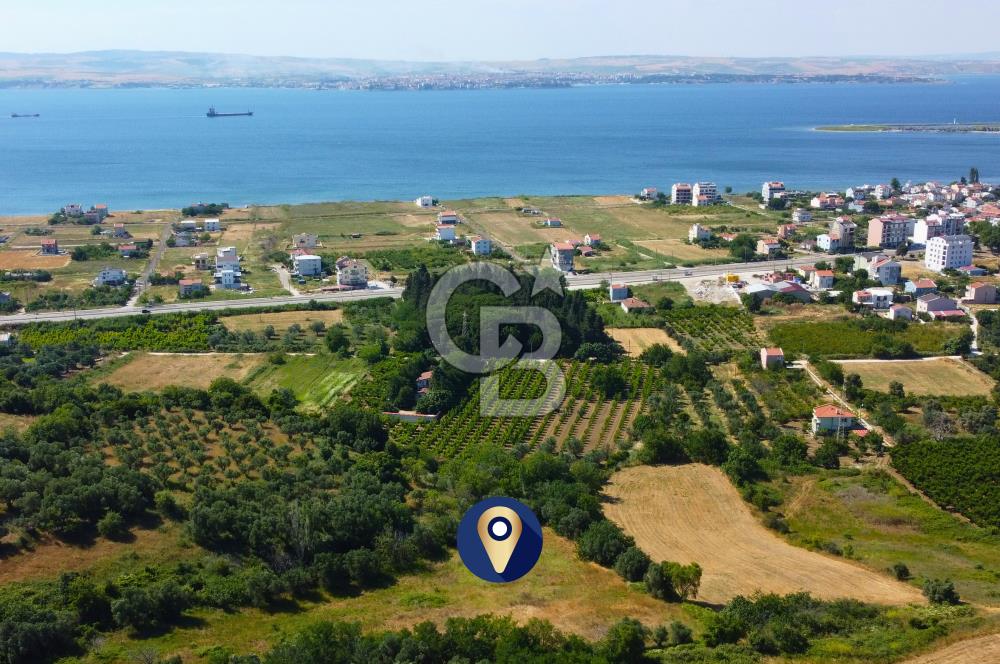 Çanakkale Lapseki Çardak İmara Sınır Boğaz Manz. 19 Adet Parsel