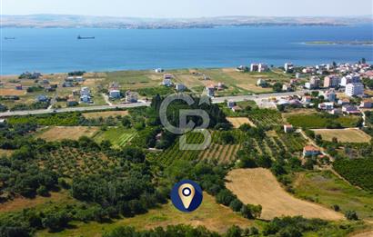 Çanakkale Lapseki Çardak İmara Sınır Boğaz Manz. 19 Adet Parsel