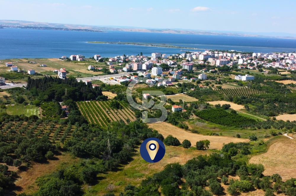 Çanakkale Lapseki Çardak İmara Sınır Boğaz Manz. 19 Adet Parsel