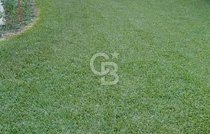 KUŞADASI DAVUTLARDA SİTE İÇERİSİNDE SATILIK TRİPLEKS VİLLA