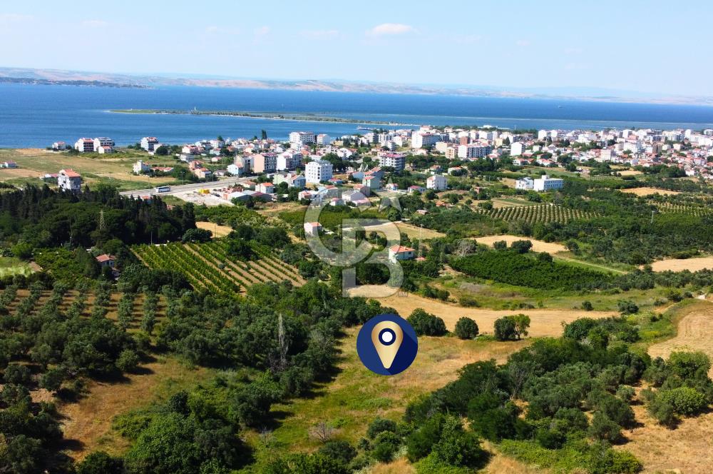 Çanakkale Lapseki Çardak İmara Sınır Boğaz Manz. 19 Adet Parsel