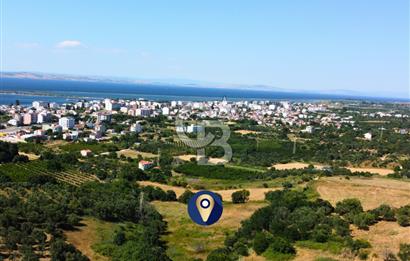 Çanakkale Lapseki Çardak İmara Sınır Boğaz Manz. 19 Adet Parsel