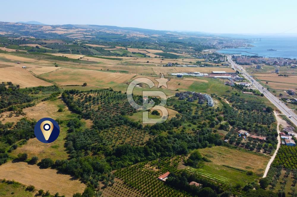 Çanakkale Lapseki Çardak İmara Sınır Boğaz Manz. 19 Adet Parsel