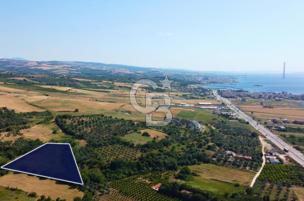 Çanakkale Lapseki Çardak İmara Sınır Boğaz Manz. 19 Adet Parsel