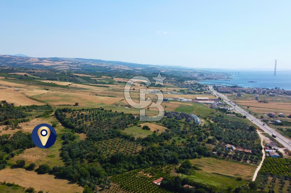 Çanakkale Lapseki Çardak İmara Sınır Boğaz Manz. 19 Adet Parsel