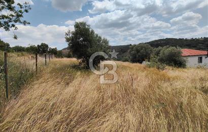 SÜLEYMANLIDA RESMİ 2+1 MÜSTAKİL VE 8 DÖNÜM SATILIK GENİŞ ARAZİ