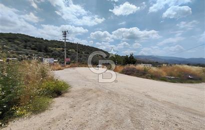 SÜLEYMANLIDA RESMİ 2+1 MÜSTAKİL VE 8 DÖNÜM SATILIK GENİŞ ARAZİ