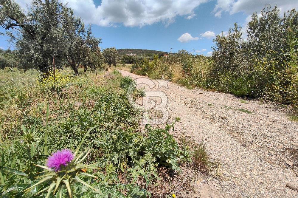 SÜLEYMANLIDA RESMİ 2+1 MÜSTAKİL VE 8 DÖNÜM SATILIK GENİŞ ARAZİ