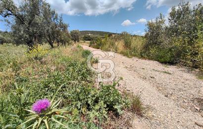 SÜLEYMANLIDA RESMİ 2+1 MÜSTAKİL VE 8 DÖNÜM SATILIK GENİŞ ARAZİ