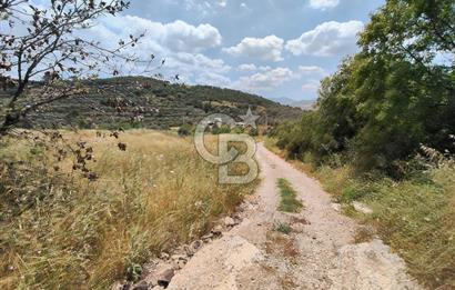 SÜLEYMANLIDA RESMİ 2+1 MÜSTAKİL VE 8 DÖNÜM SATILIK GENİŞ ARAZİ