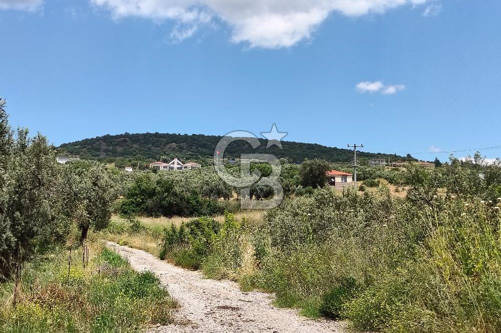 SÜLEYMANLIDA RESMİ 2+1 MÜSTAKİL VE 8 DÖNÜM SATILIK GENİŞ ARAZİ