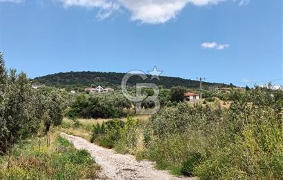SÜLEYMANLIDA RESMİ 2+1 MÜSTAKİL VE 8 DÖNÜM SATILIK GENİŞ ARAZİ