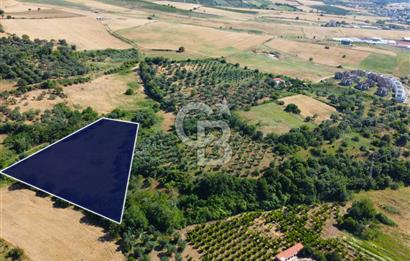Çanakkale Lapseki Çardak İmara Sınır Boğaz Manz. 19 Adet Parsel