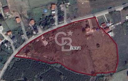 Kandıra Çamkonak 1340 m2 Tarla
