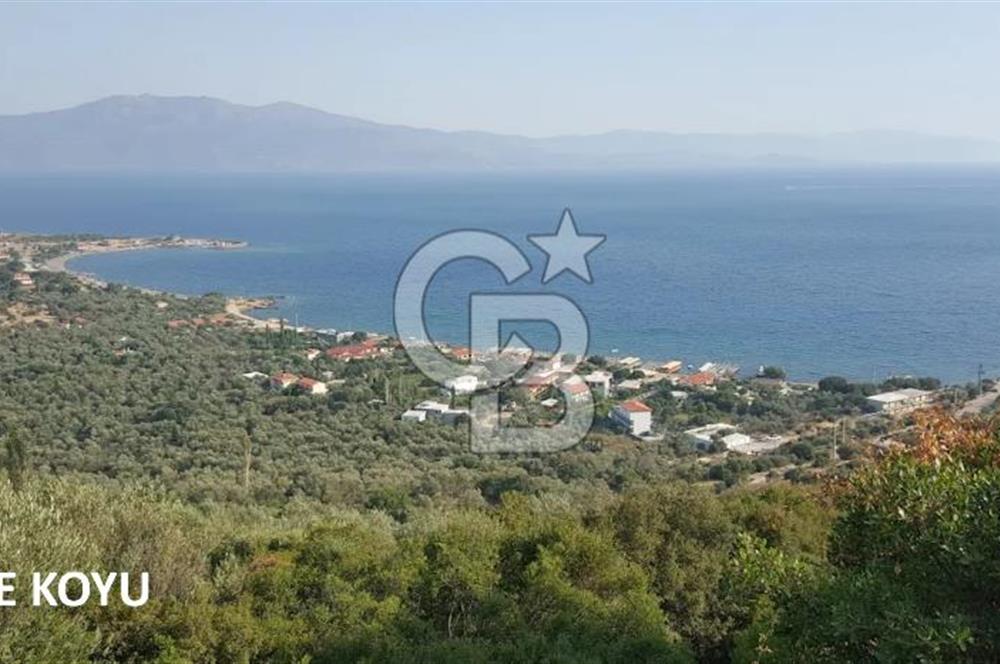 ASSOS'DA MUHTEŞEM KALİTEDE 1+1 SATILIK DUBLEKS 'ler